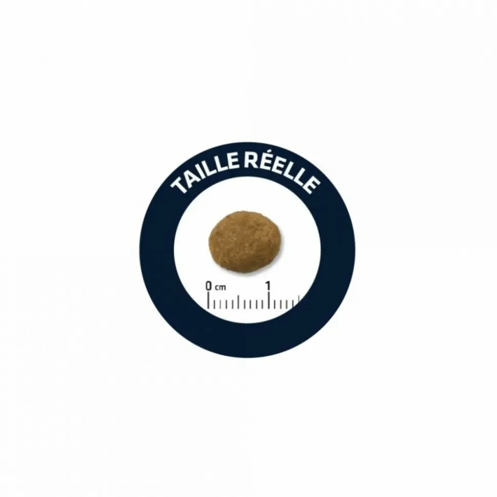 ADVANCE - Croquettes chien maxi puppy - advance 12 kg