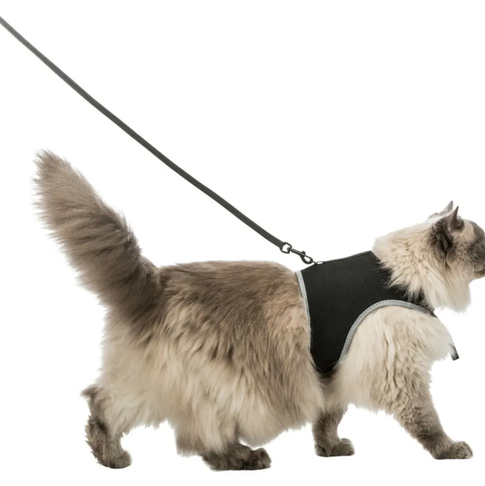 ANIMALLPARADISE - Harnais soft xxl avec laisse pour grand chat