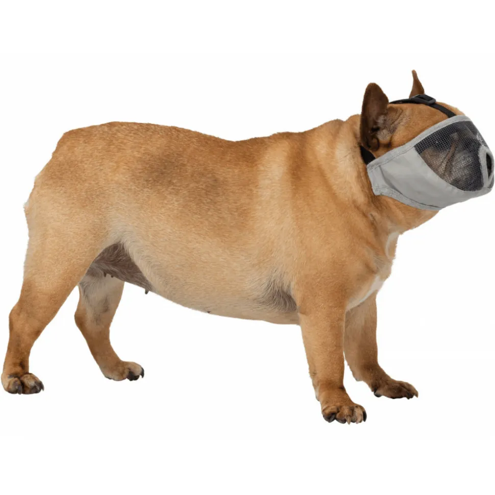 ANIMALLPARADISE - Muselière pour les races de chien à nez court taille m
