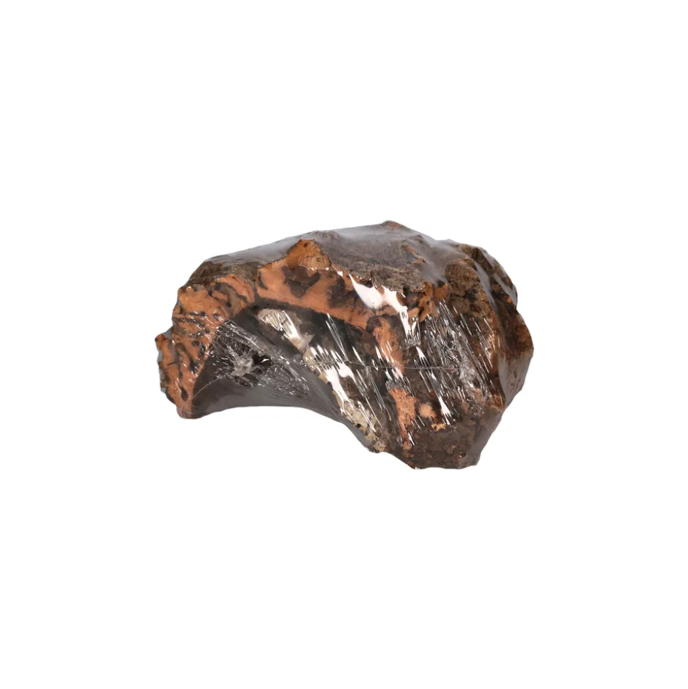 AQUAVIE - LIEGE LOT PLATEAU-ARCHE 15-50cm