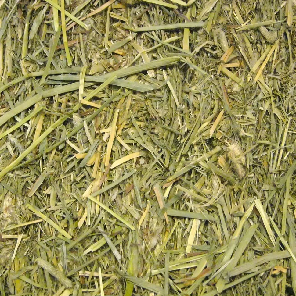 BEAPHAR - Aliment rongeurs - foin thimoty phléoe - beaphar 1 kg