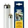 Éclairage pour aquarium ferplast toplife 24w lumière du jour au néon rehausse les couleurs