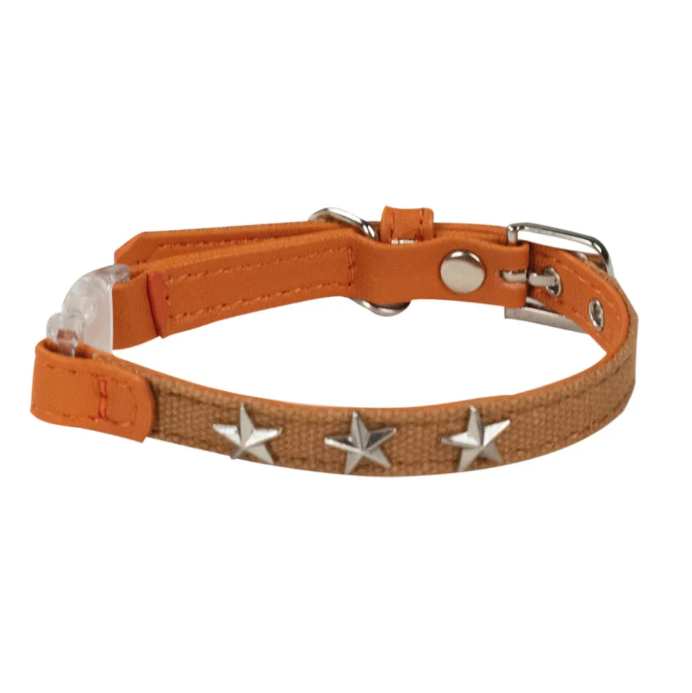 Collier chat star is born