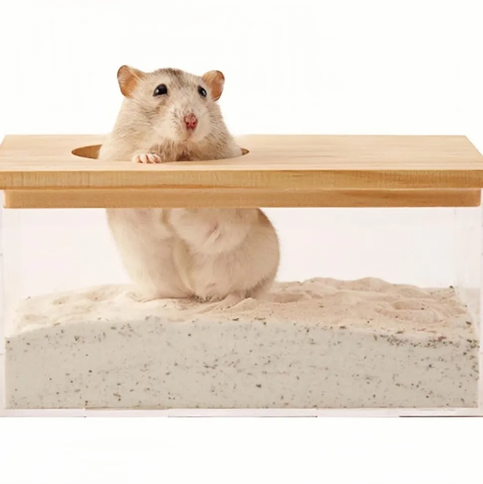 DOWNYPAWS - Bain salle - transparente, grande entrée, sable pour toilette