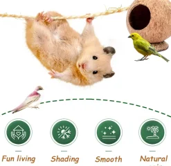 DOWNYPAWS - Boîte d'oiseau en coque de noix de coco pour la reproduction et la décoration type sur pied