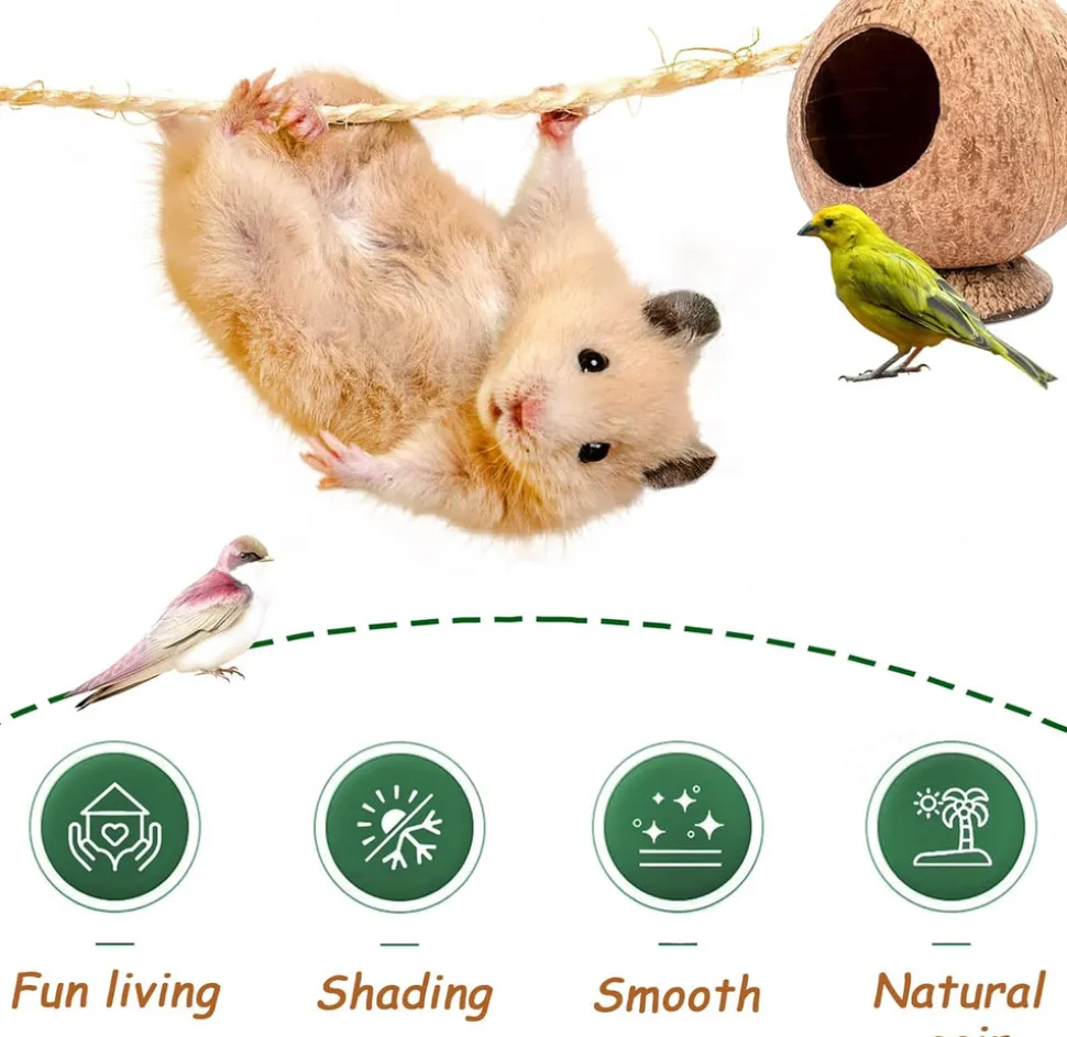DOWNYPAWS - Boîte d'oiseau en coque de noix de coco pour la reproduction et la décoration type sur pied