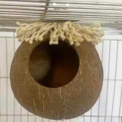 DOWNYPAWS - Boîte d'oiseau en coque de noix de coco pour la reproduction et la décoration type à vis