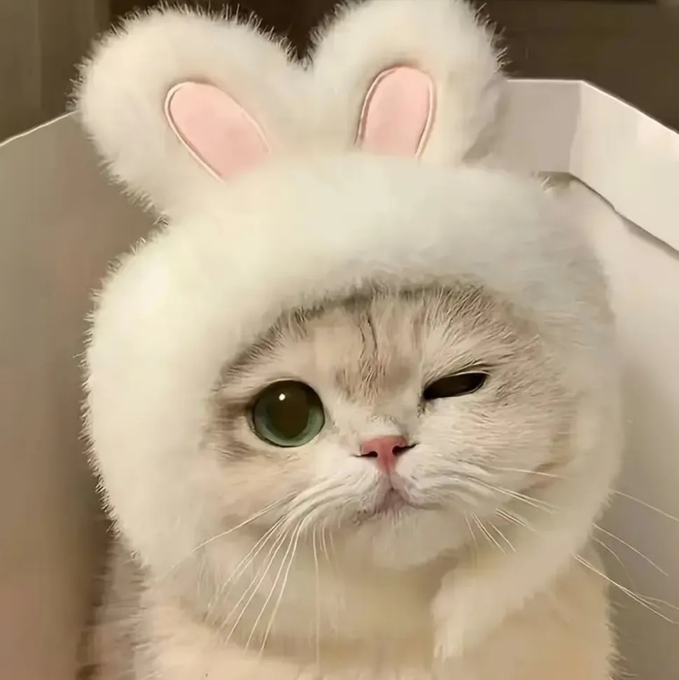 DOWNYPAWS - Chapeau de chat avec oreilles de lapin de pâques