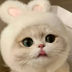 DOWNYPAWS - Chapeau de chat avec oreilles de lapin de pâques