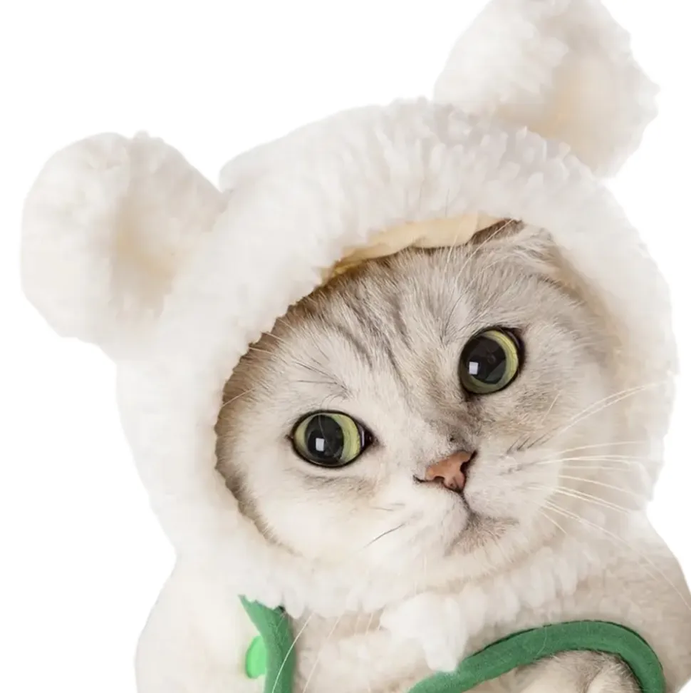 DOWNYPAWS - Chapeau ours pour animaux de compagnie, col règlable