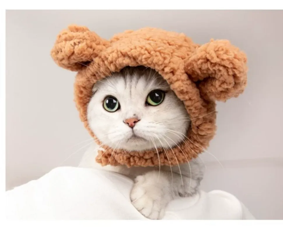 DOWNYPAWS - Chapeau ours pour animaux de compagnie, col règlable