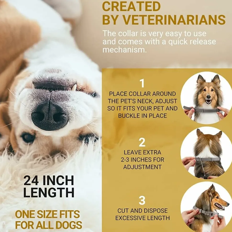 DOWNYPAWS - Colliers anti - puces et anti -tiques, lot de 2 pour chiens