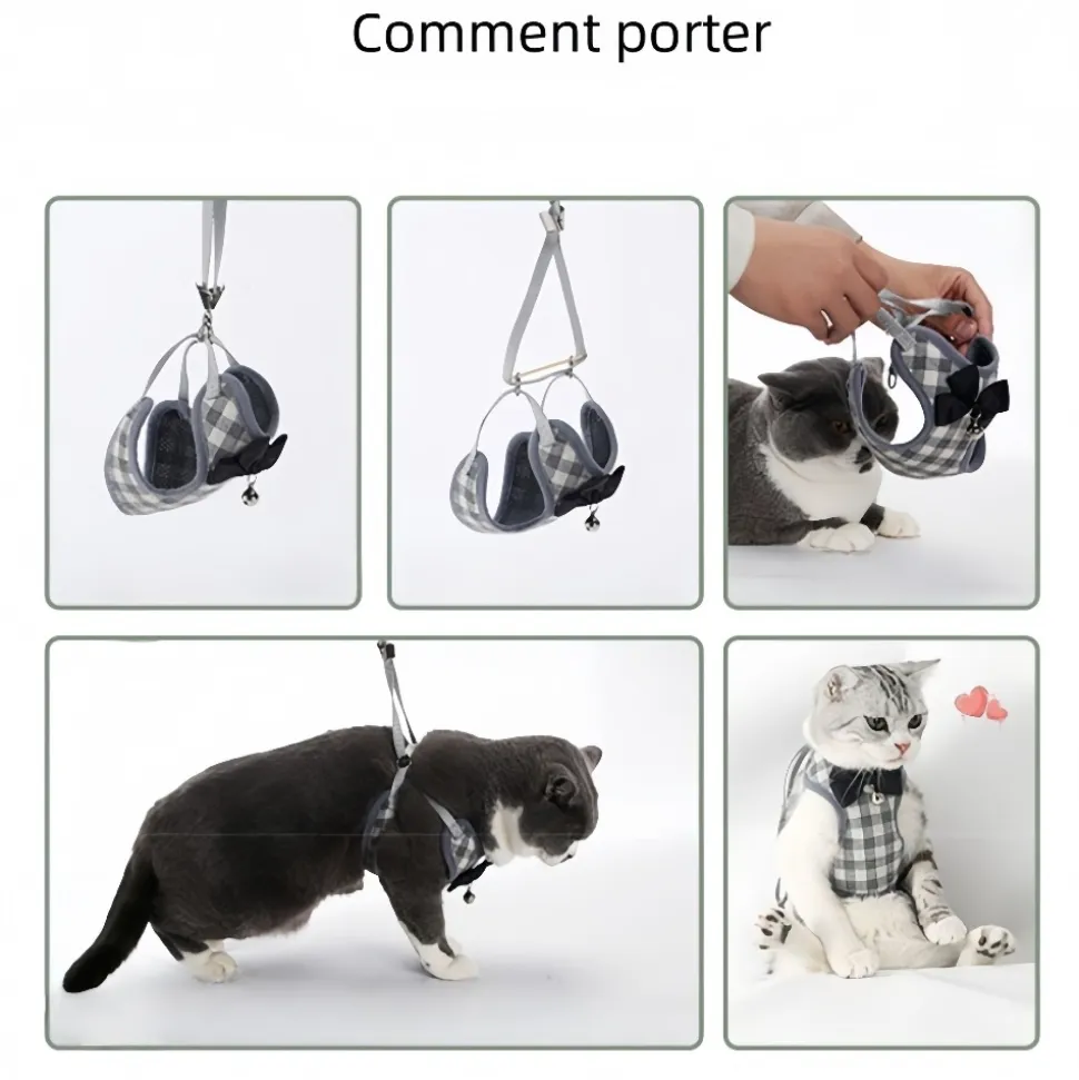 DOWNYPAWS - Ensemble de laisse pour chat s