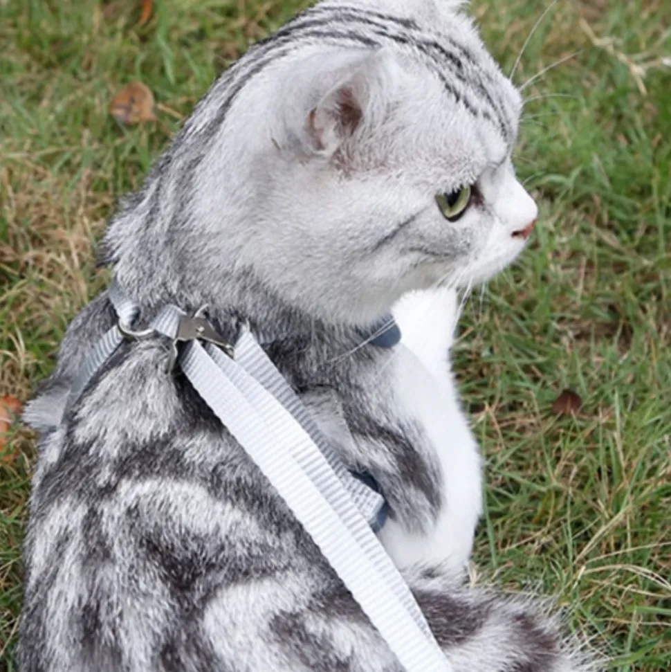 DOWNYPAWS - Ensemble de laisse pour chat s