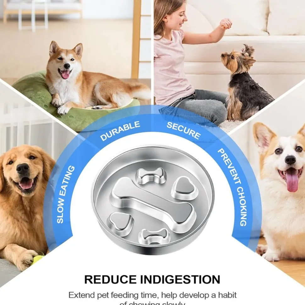 DOWNYPAWS - Gamelle anti-glouton pour chien - inox antidérapant