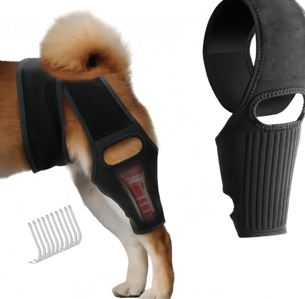 DOWNYPAWS - Genouillèrepourchien: attelledecuisseréglablefixationpostopératoire protectiondesjambesaprèsblessurearticulaire
