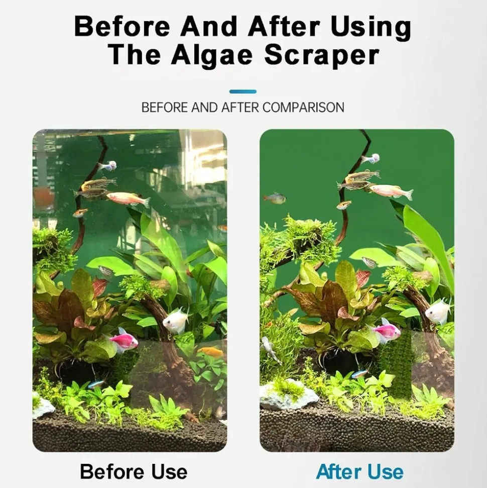 DOWNYPAWS - Grattoir à algues pour aquarium en verre