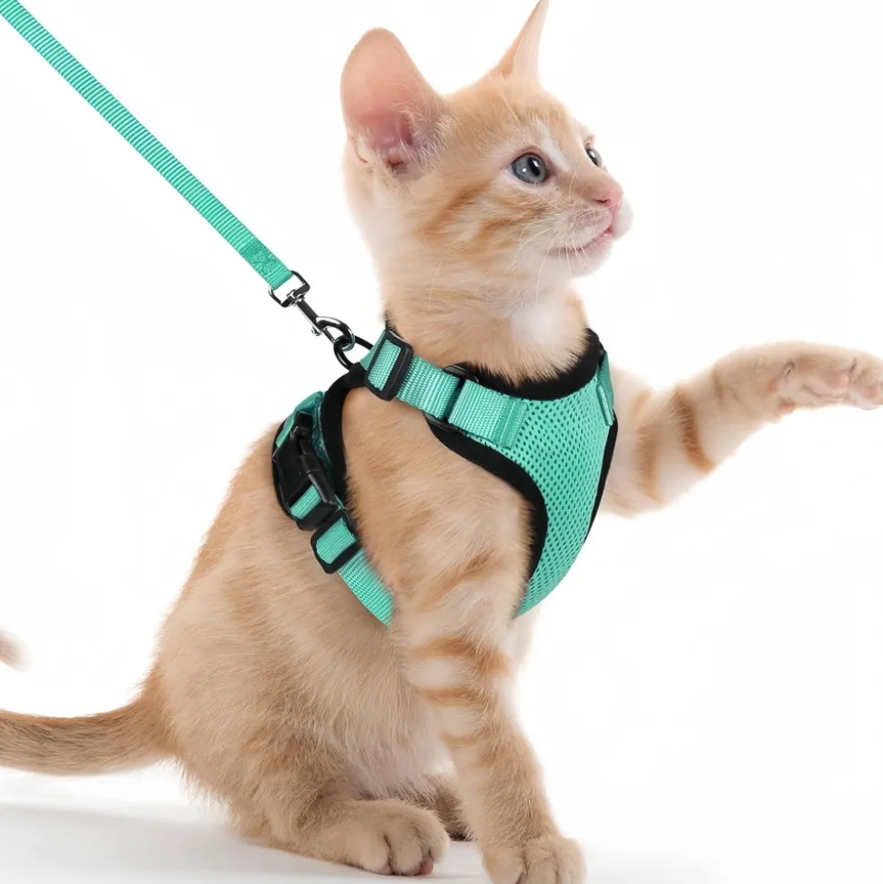 DOWNYPAWS - Harnais et laisse réfléchissants pour chat xs