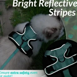 DOWNYPAWS - Harnais et laisse réfléchissants pour chat xs
