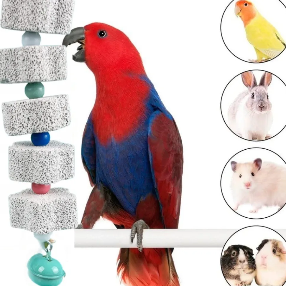 DOWNYPAWS - Jouet mâcher perroquet lot 2 avec cloche
