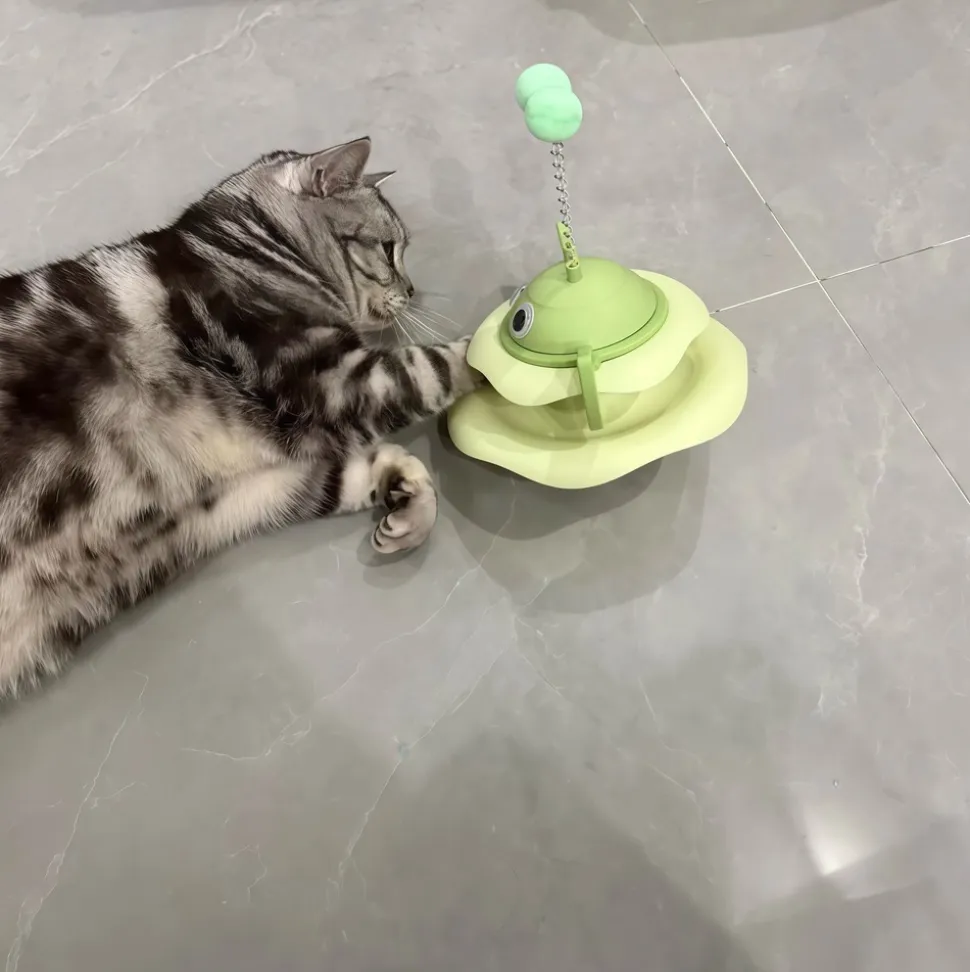 DOWNYPAWS - Jouets interactifs pour chats, jouets à gobelet, stimulent l'intérêt du chat, plateau tournant pour chat