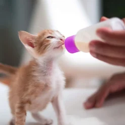 DOWNYPAWS - Kit biberon pour chat mangeoire 2 pièces avec tétines
