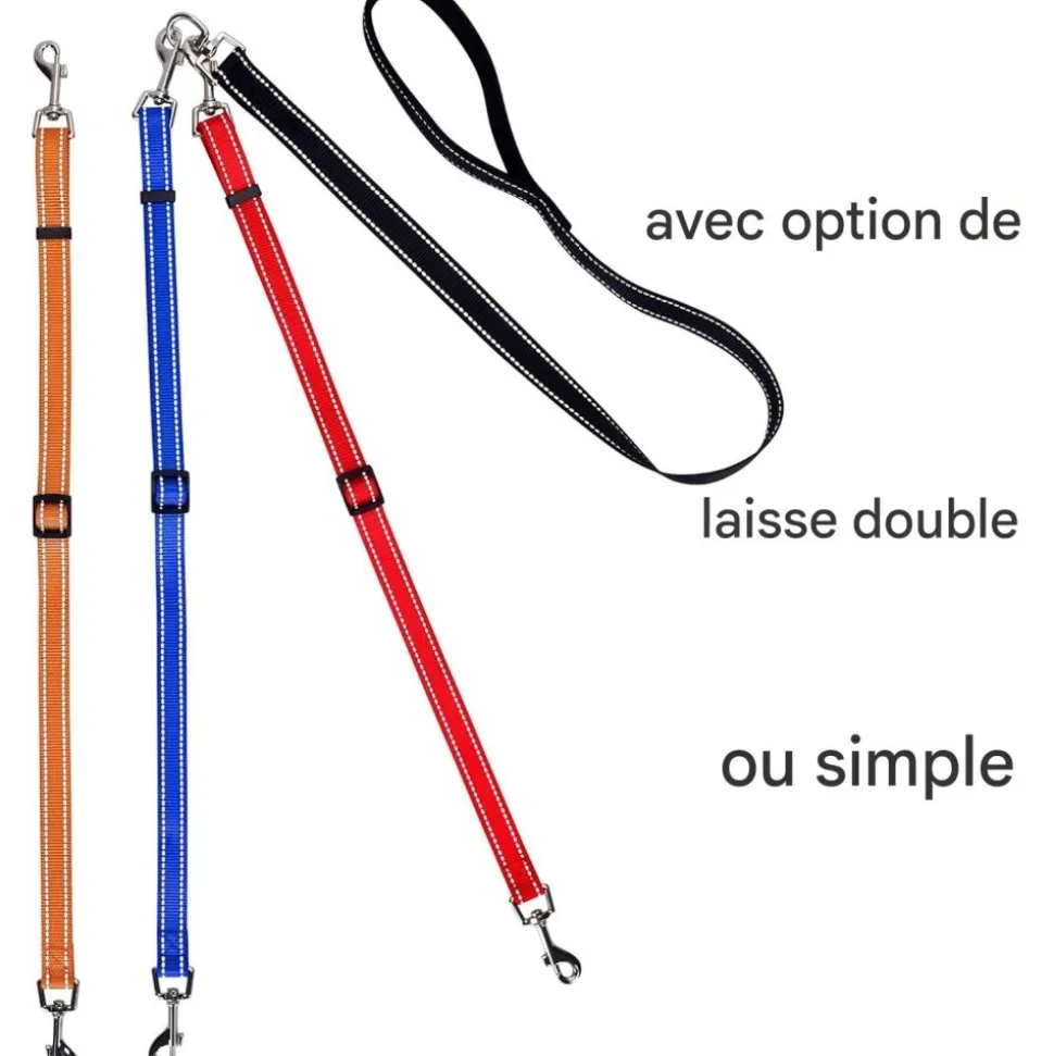 DOWNYPAWS - Laisse pour chien 3 têtes