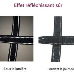 DOWNYPAWS - Laisse pour chien 3 têtes