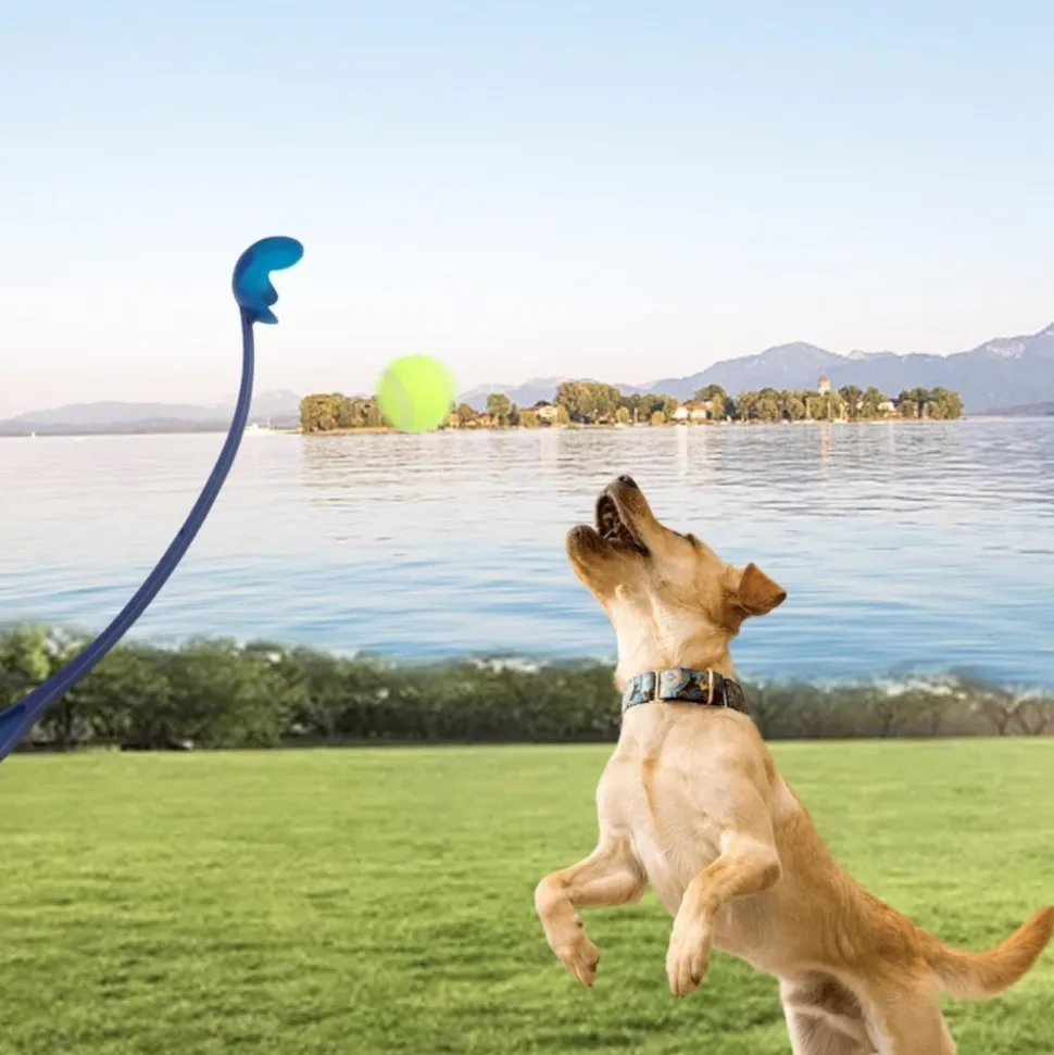 DOWNYPAWS - Lanceur de balles pour chien paquet de 3-jouets interactifs pour chiens-bleu+rose+vert 60cm