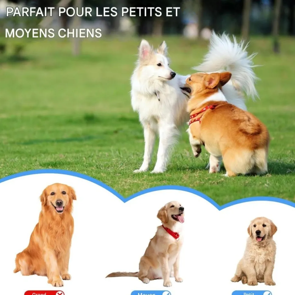 DOWNYPAWS - Lot de 6 balles jouets pour chien 6.3cm-jouets interactifs à haute élasticité