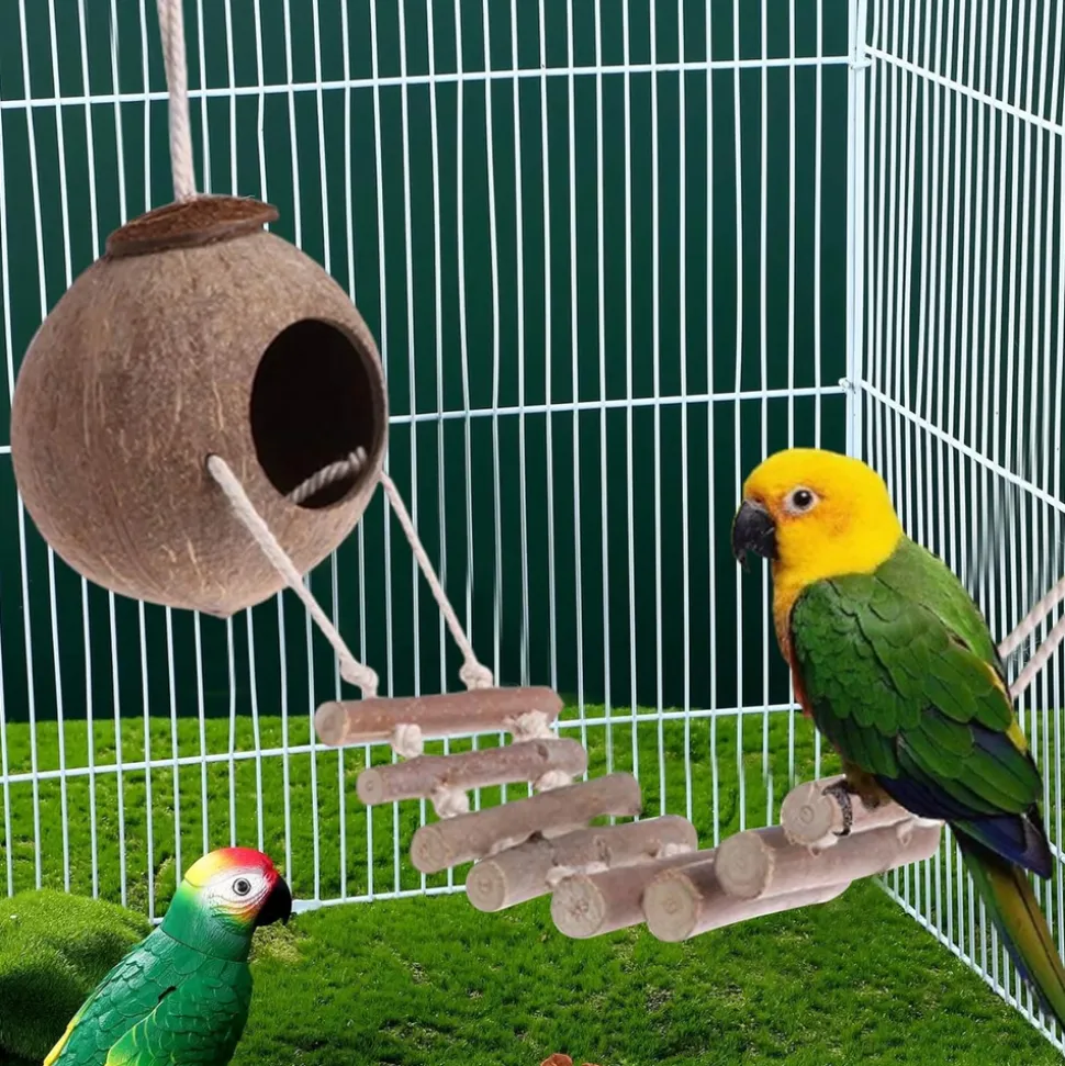 DOWNYPAWS - Nid d'oiseau, noix de conduite à perruche accrochée à la noix