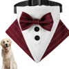 DOWNYPAWS - Nœud papillon pour chien