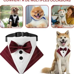 DOWNYPAWS - Nœud papillon pour chien
