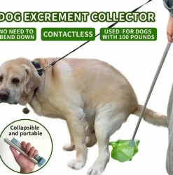 DOWNYPAWS - Pelle à crottes de chien pliable à long manche