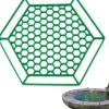 DOWNYPAWS - Plateau d'eau pour insectes - ruche avec bordure creuse flottant vert