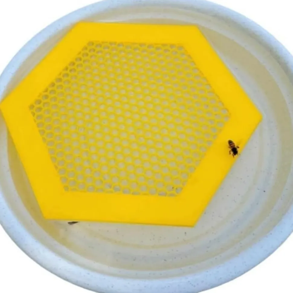 DOWNYPAWS - Plateau d'eau pour insectes - ruche avec bordure solide flottant jaune