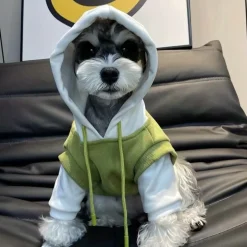 DOWNYPAWS - Pull à capuche confortable, tricot colorblock pour animaux de compagnie