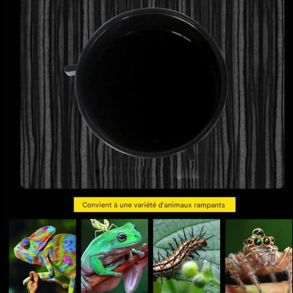 DOWNYPAWS - Récipient d'alimentation - accessoires pour aquarium de reptiles