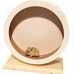 DOWNYPAWS - Roue d'exercice - silencieuse en bois