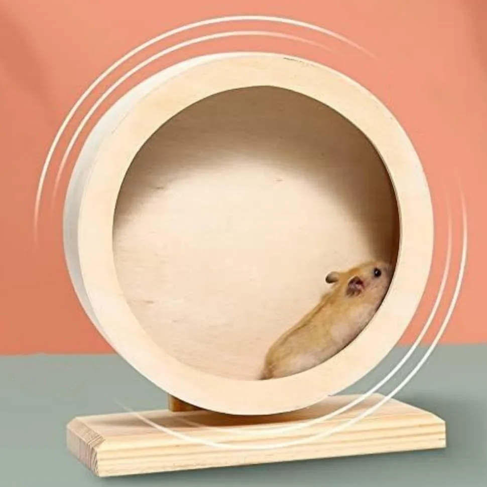 DOWNYPAWS - Roue d'exercice - silencieuse en bois
