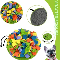 DOWNYPAWS - Tapis de recherche pour chien