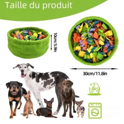 DOWNYPAWS - Tapis de recherche pour chien