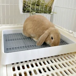 DOWNYPAWS - Toilette pour petits animaux