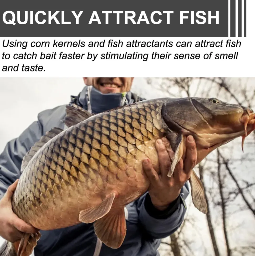 DTOPBUYAGE - Attractif pour appâts de pêche, 100 g - dtopbuyage