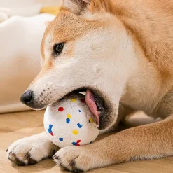 DTOPBUYAGE - Balles indestructibles e-tpu pour moyens et grands chiens