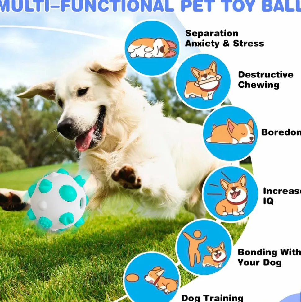 DTOPBUYAGE - Balls pour chiens - interactif, nettoyage des dents