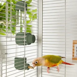 DTOPBUYAGE - Distributeur d'eau automatique vert 280 ml pour oiseaux