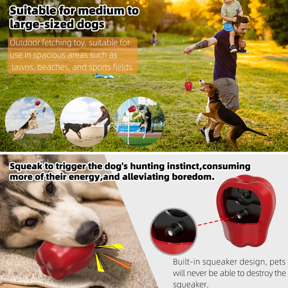 DTOPBUYAGE - Dtopbuyage jouet de récupération pour chien avec corde