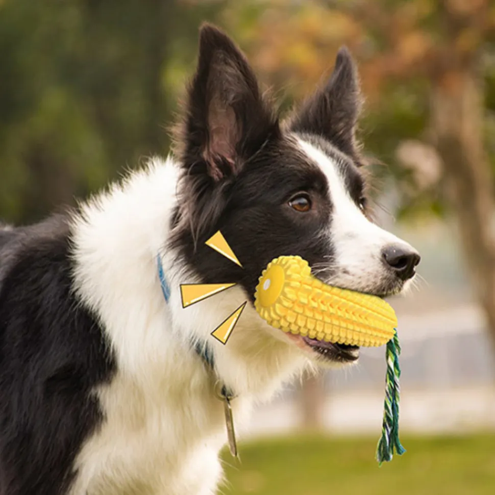 DTOPBUYAGE - Dtopbuyage jouet en forme de maïs pour chiens