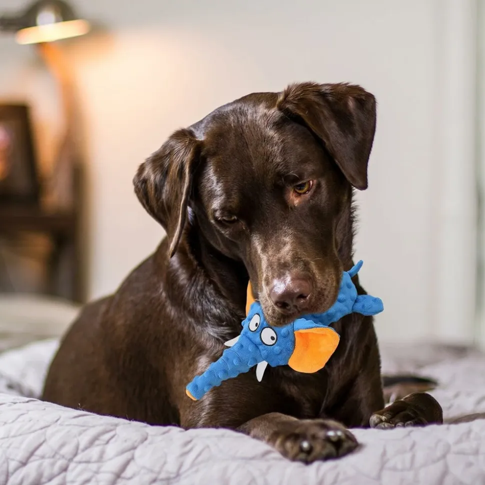DTOPBUYAGE - Dtopbuyage jouet pour chien - en peluche, interactif